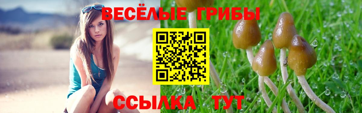 Псилоцибиновые грибы прущие грибы  купить наркотик  Темрюк  Галлюциногенные грибы Magic Shrooms  Вход с VPN 